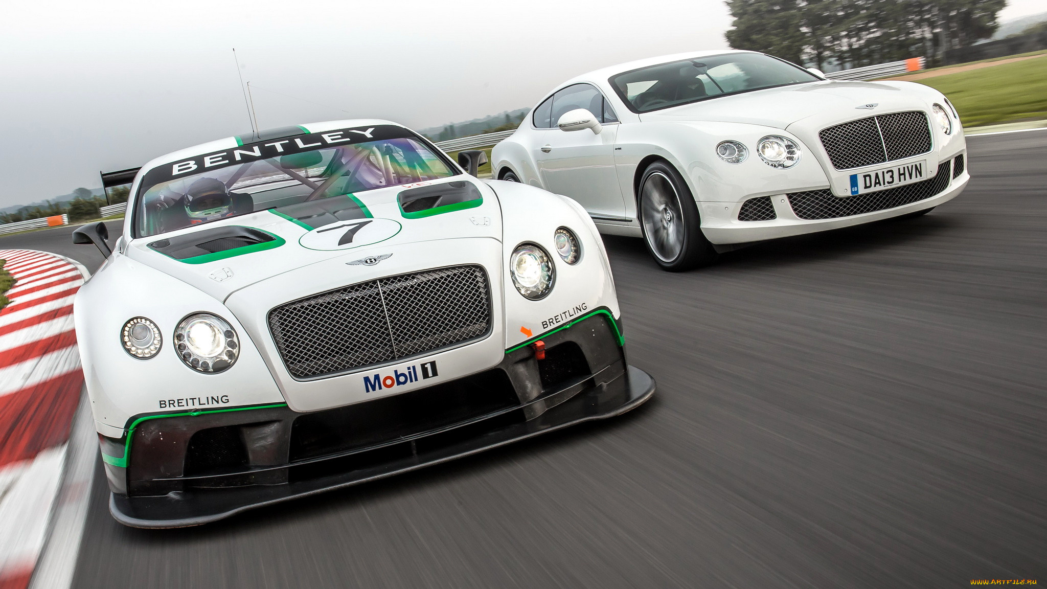 bentley, continental, gt, , -, motors, , 